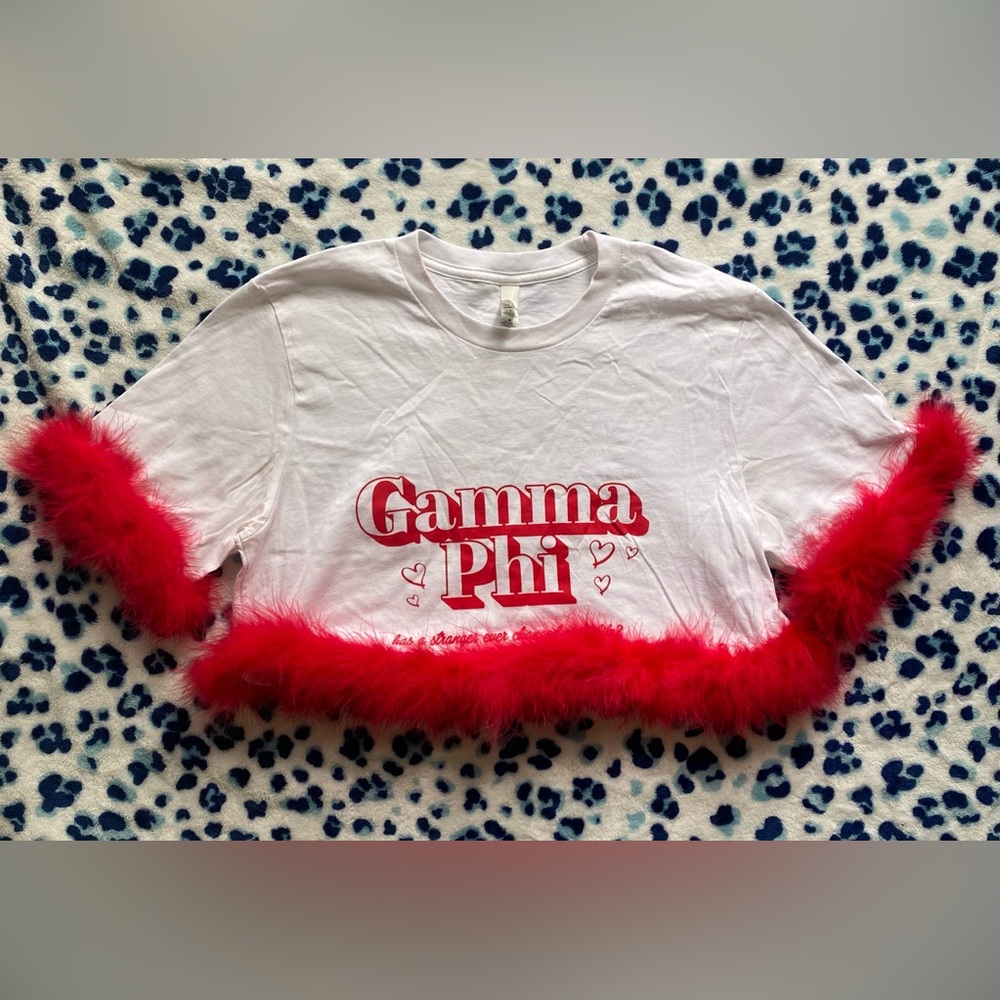 GAMMA PHI BETA feather cropped tee❣️